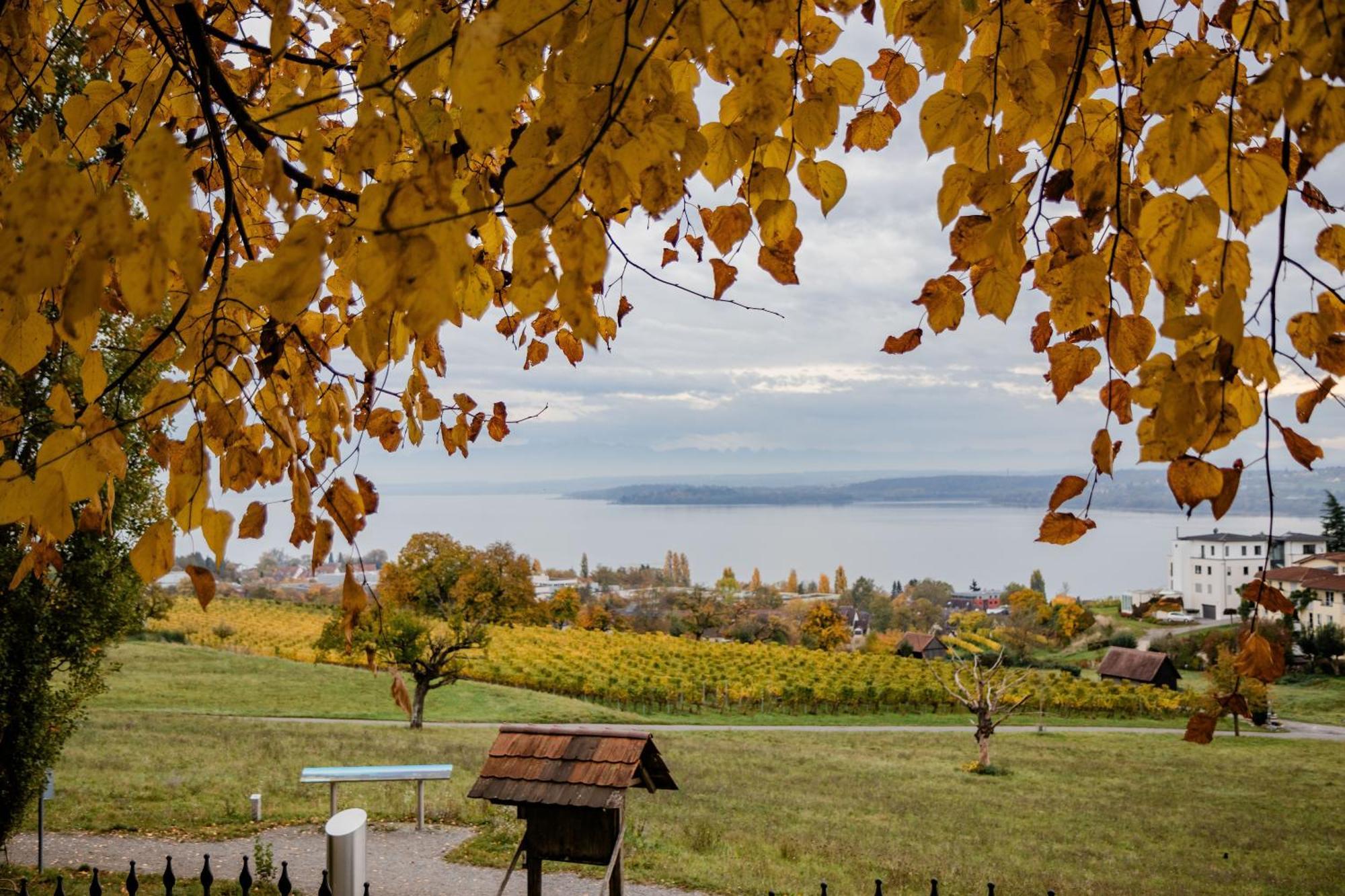 Parkhotel St.Leonhard Uberlingen Dış mekan fotoğraf